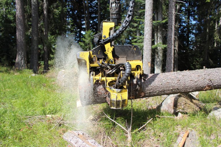 Holzfällung Harvester