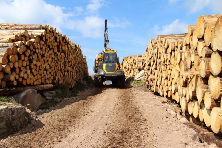 Forwarder Holzbringung
